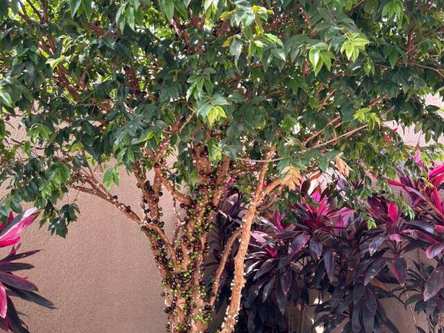 #86 - Casa em condomínio para Venda em Itupeva - SP